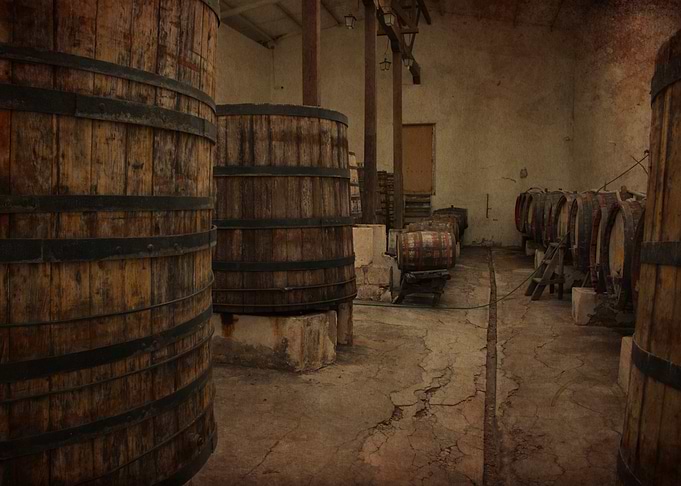 Vintage Wine Cellar with Wooden Barrels