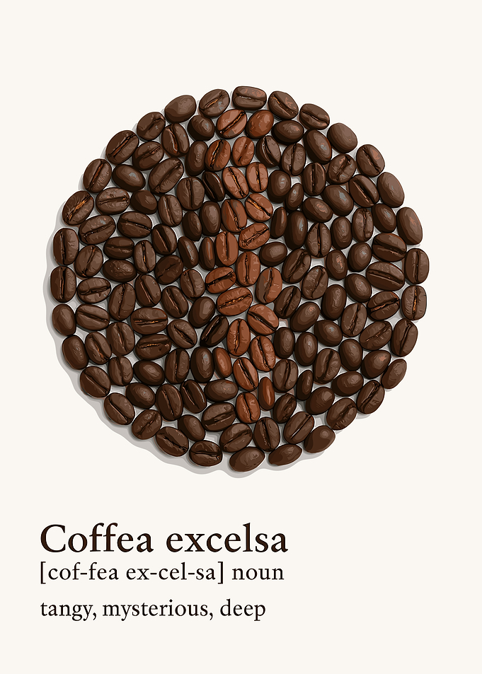 Coffea excelsa