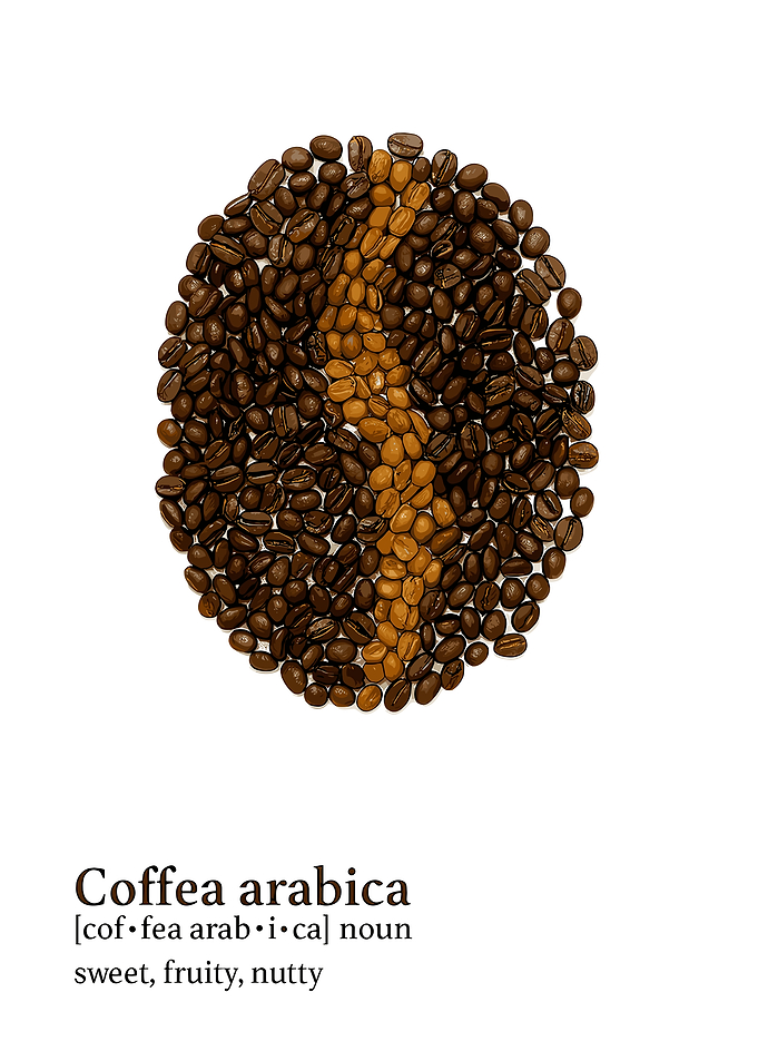 Coffea Arabica