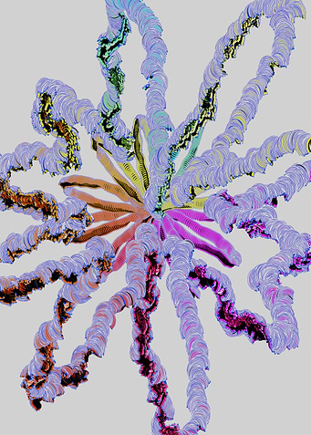 Abstract Colorful Starburst