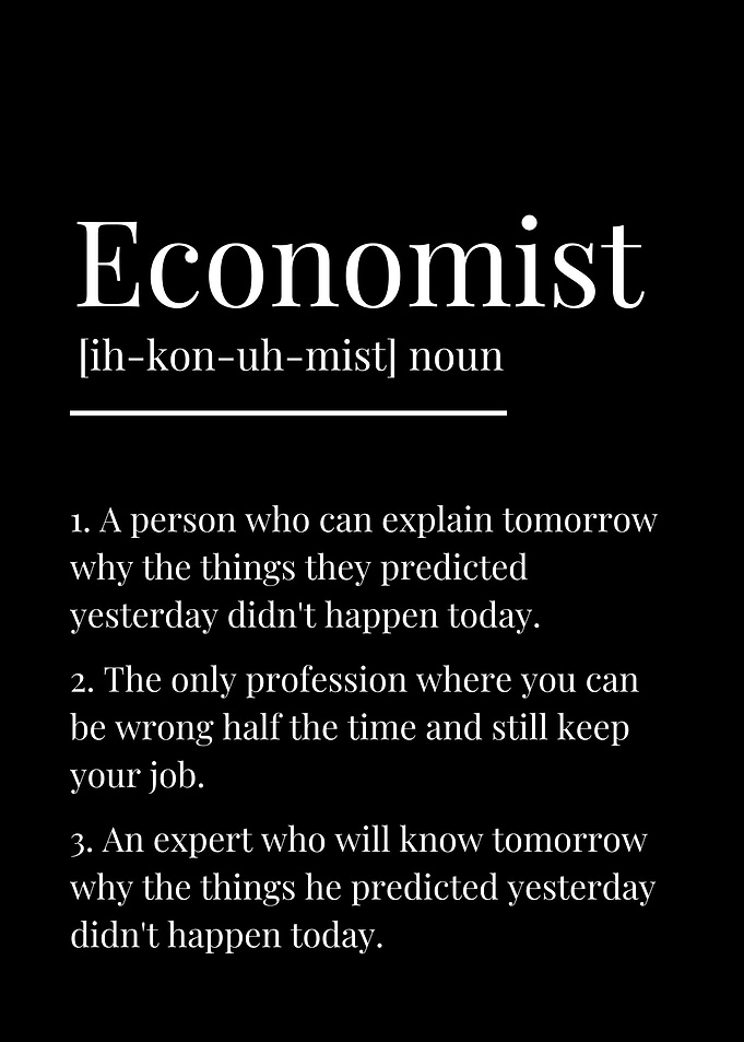 Funny Economist Definition