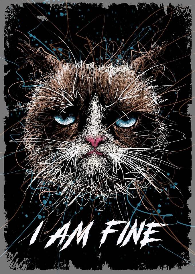 Grumpy Cat I Am Fine meme