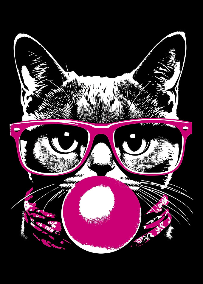 Cool Cat with Glasses and Bubblegum