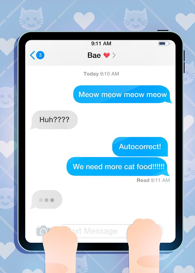 Cat Texting on Tablet