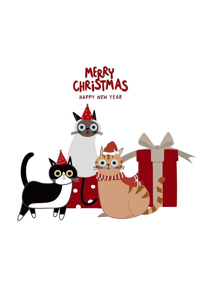 Christmas Cats with Gift