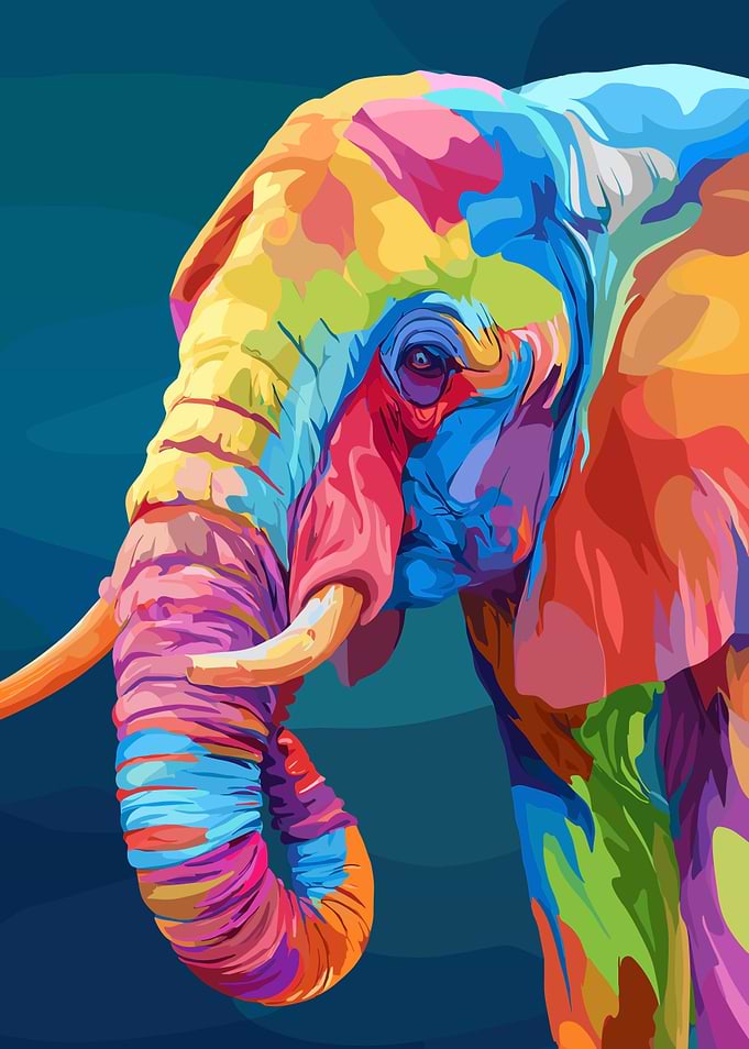 Colorful Elephant Portrait