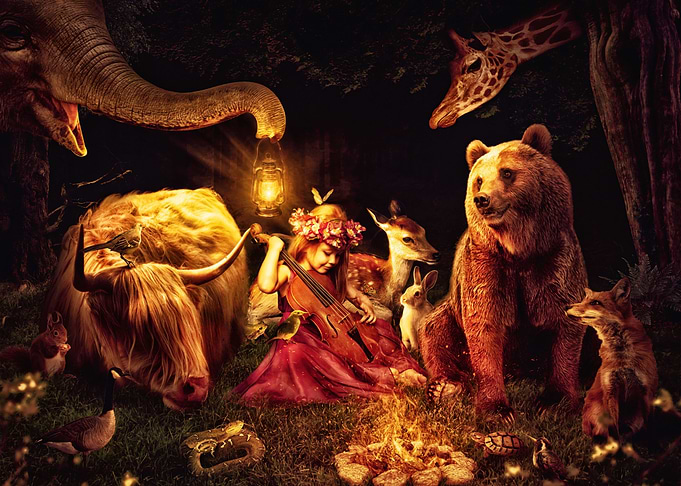 enchanted forest concert