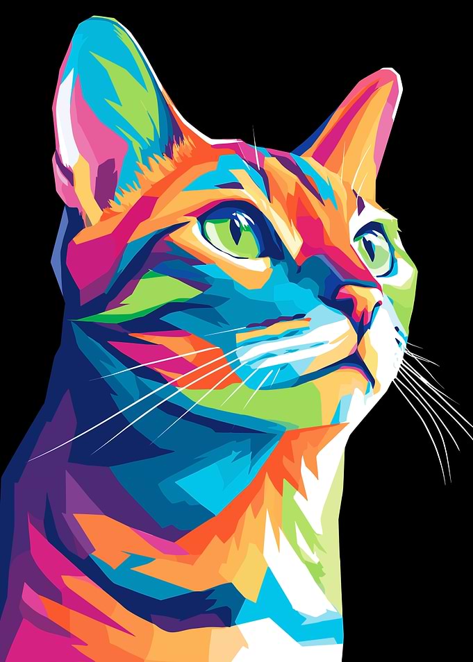 Colorful Cat Portrait on Black Background