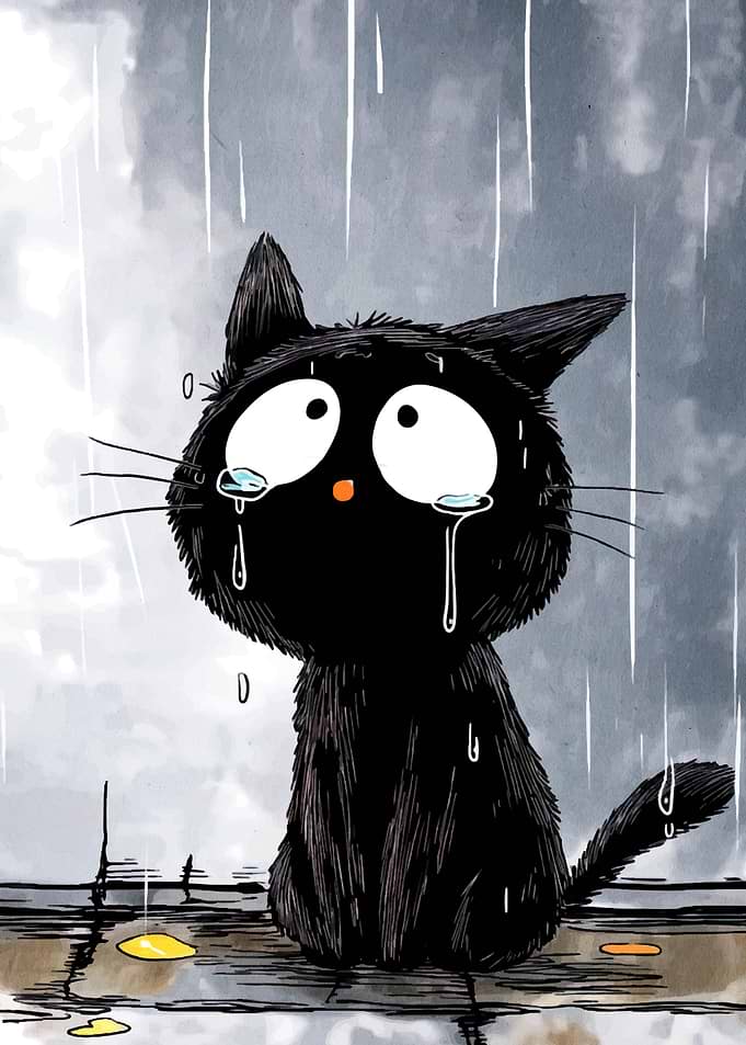 Sad Black Cat in the Rain