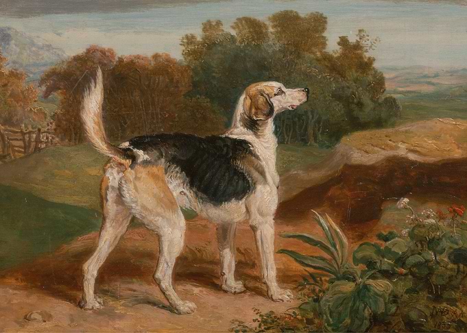 Dog in Landscape Painting