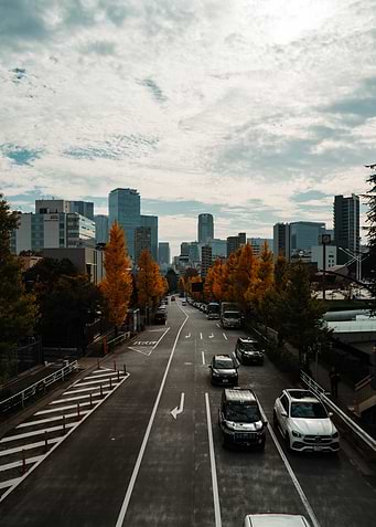 Japanese city street with autumn trees