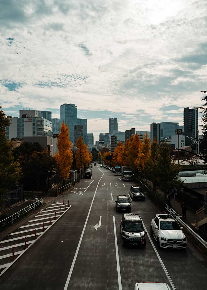 Japanese city street with autumn trees