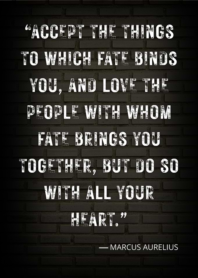 Marcus Aurelius Quote