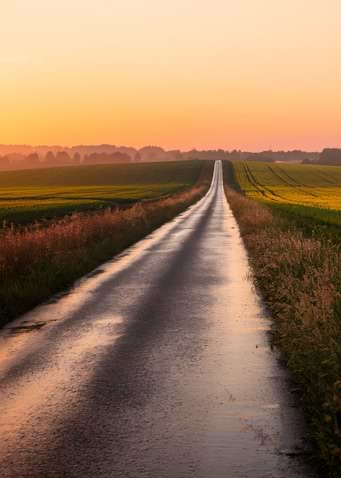 Wet Road Through Fields at Sunset
