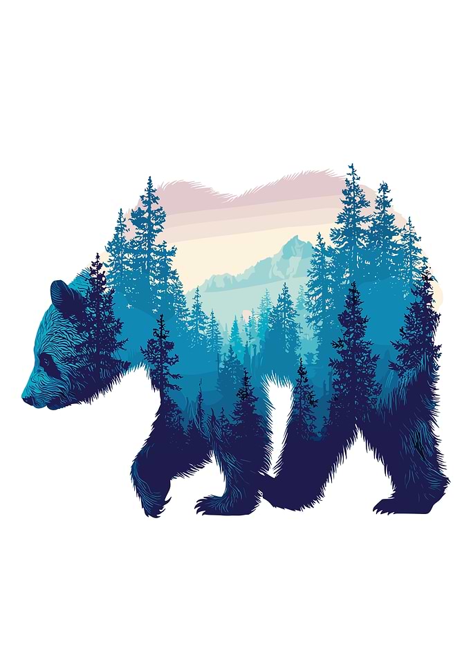 Bear Silhouette Forest Landscape