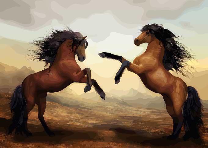 Two rearing horses in a landscape