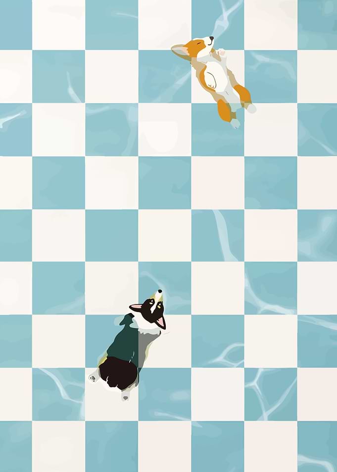 Cute Dog In Pool