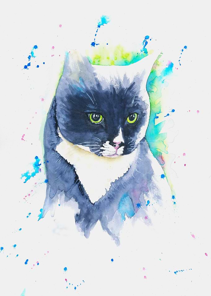 Watercolor Painting of a Tuxedo Cat