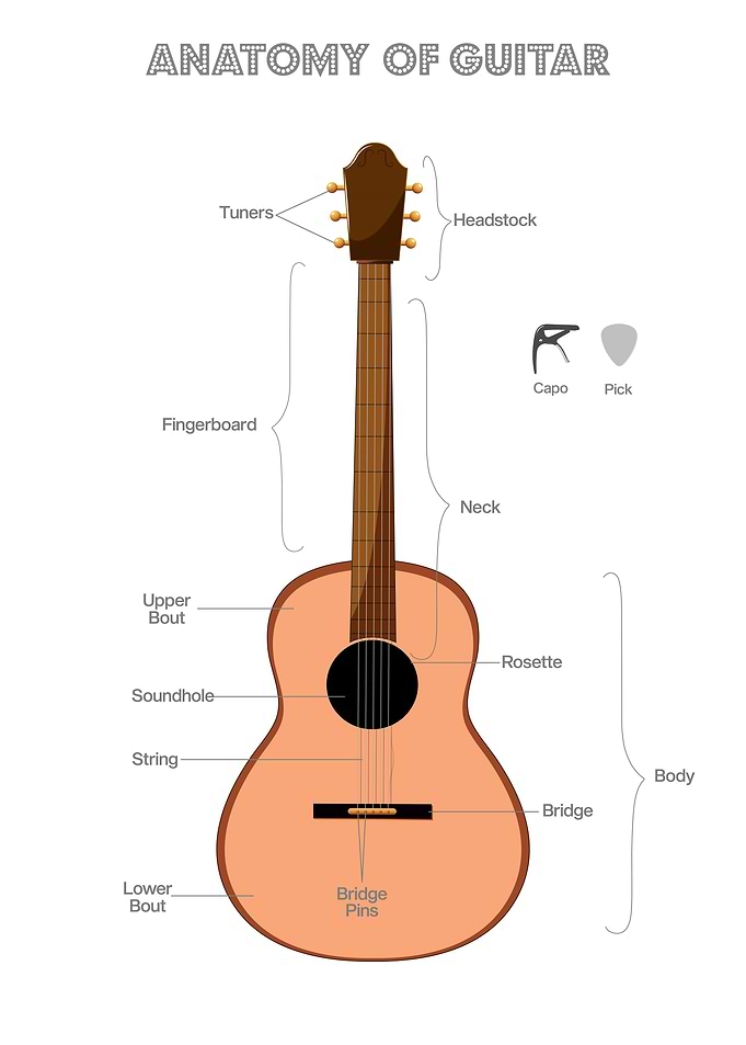 Anatomy of a Guitar Diagram