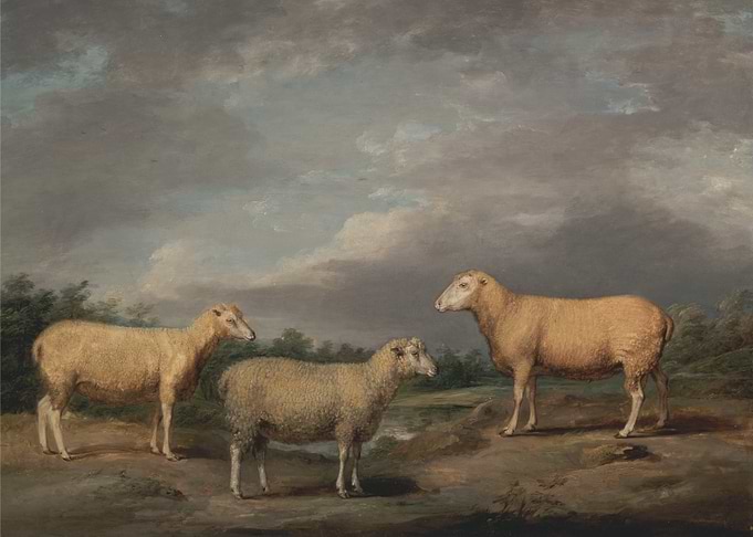 Sheep in a Landscape Painting