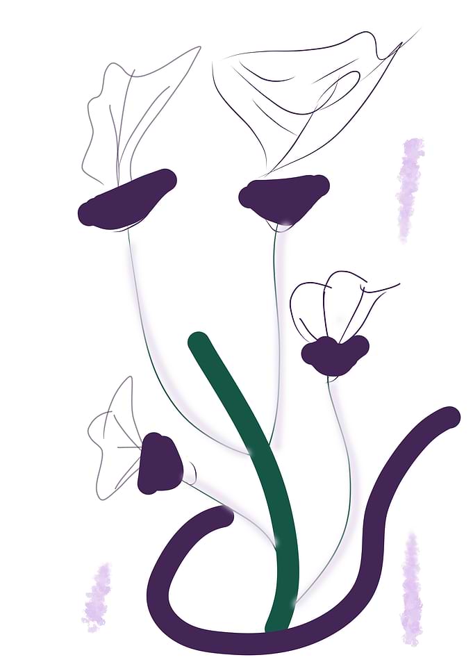 Minimalist Floral Art with Purple Accents