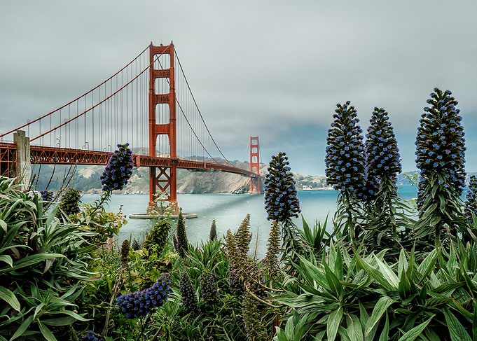 Golden Gate Bridge with Pride of Madeira