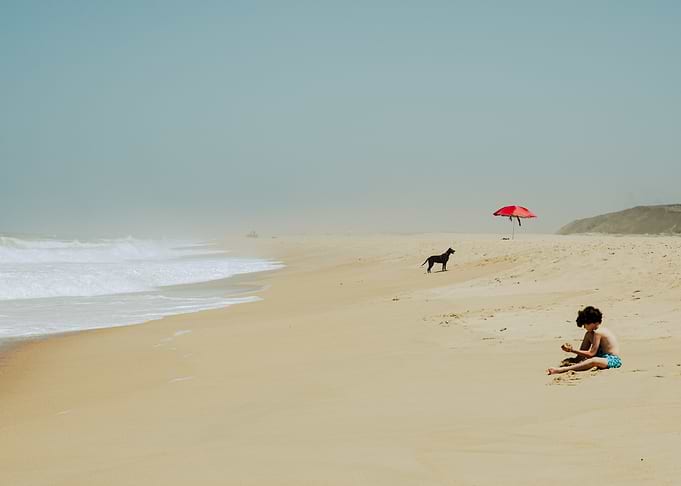 Child, Dog, and Umbrella on Beach