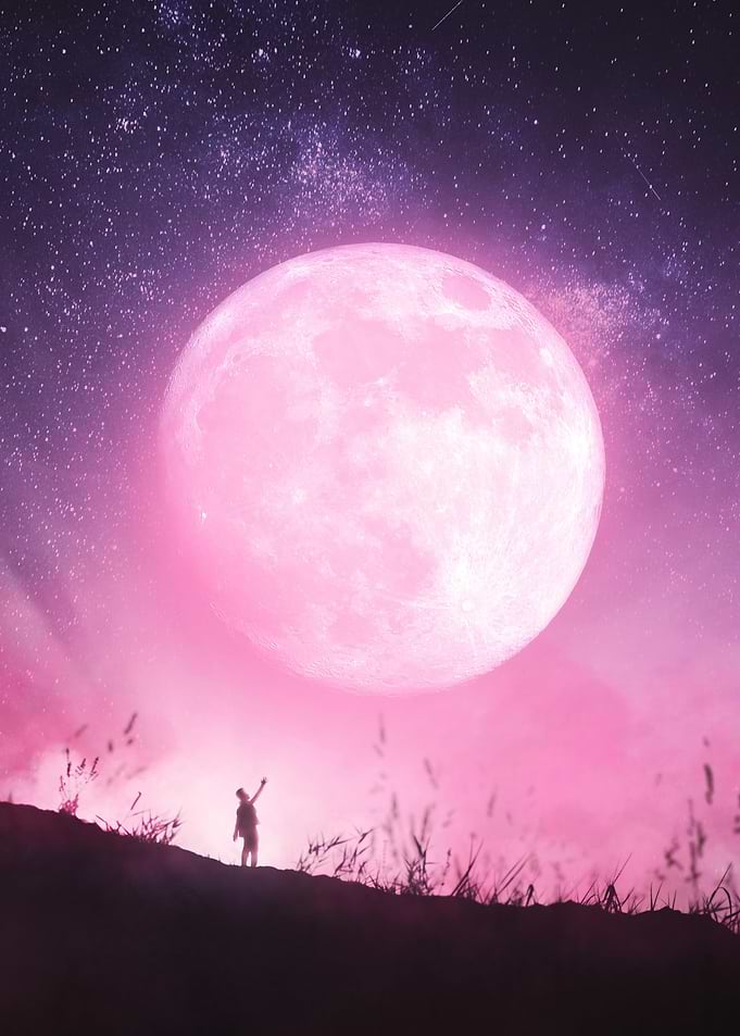 pink moon dreamscape