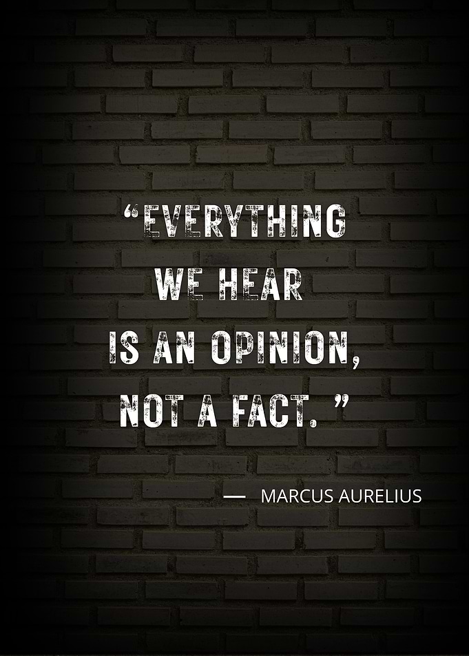 Marcus Aurelius Quote