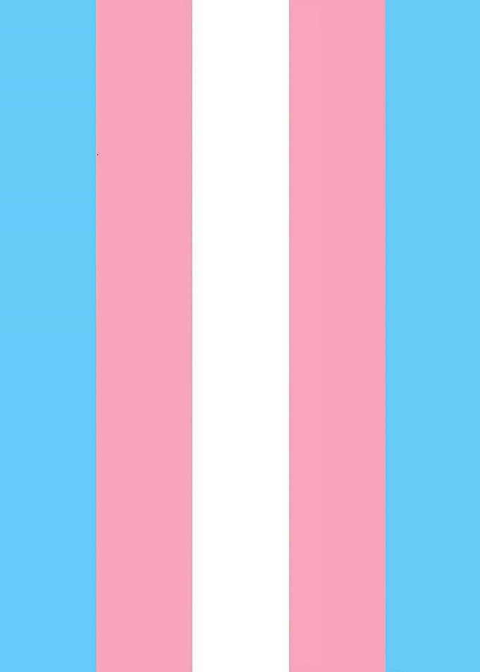 Transgender Pride Flag