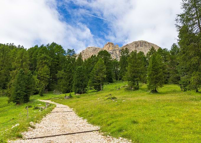 Mountain Path Through Green Meadow