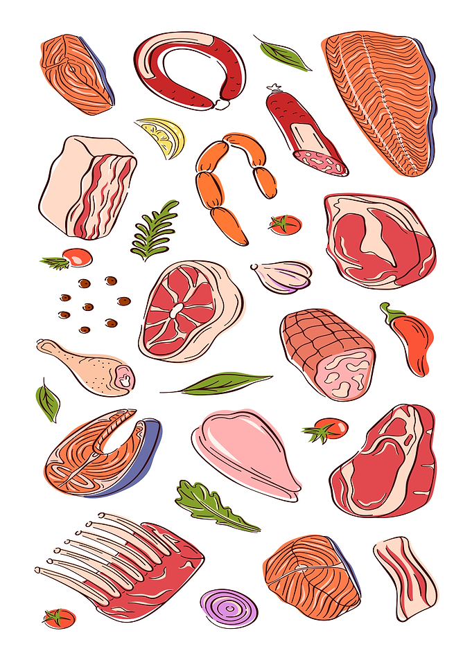 Assorted Meats and Fish Illustration