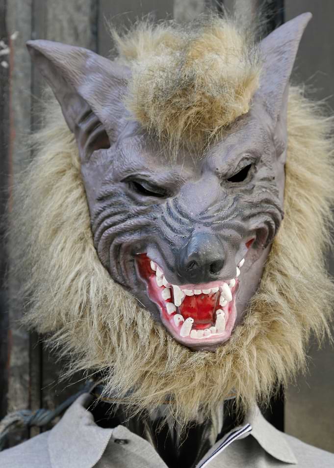 Werewolf Mask with Furry Mane