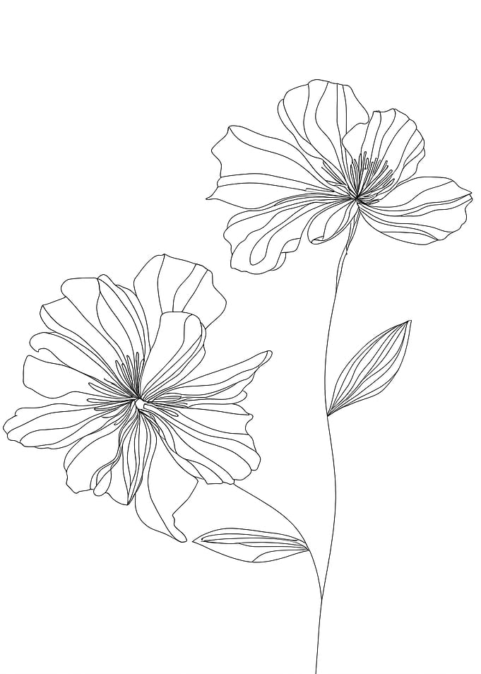 Floral Minimalist Line Art with Two Flowers