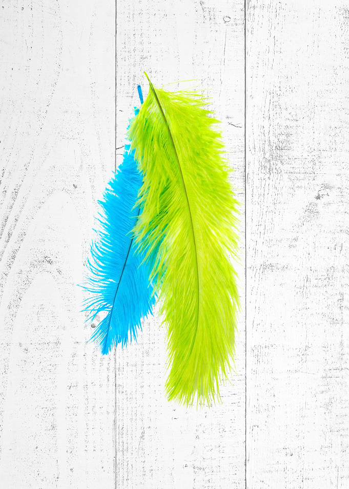 Colorful Feathers on White Wood