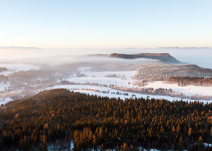 Winter Landscape with Fog and Forest