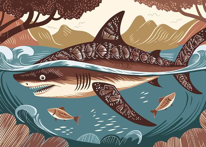 Shark in the Ocean Illustration