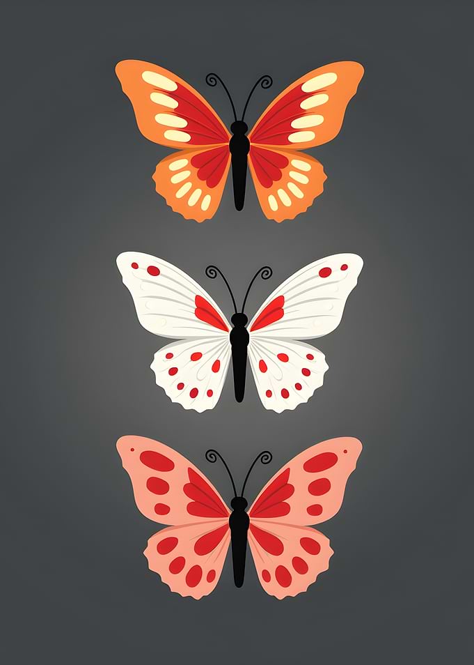 Three Colorful Butterfly Illustrations on Gray