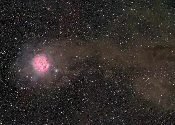 Stellar Cocoon