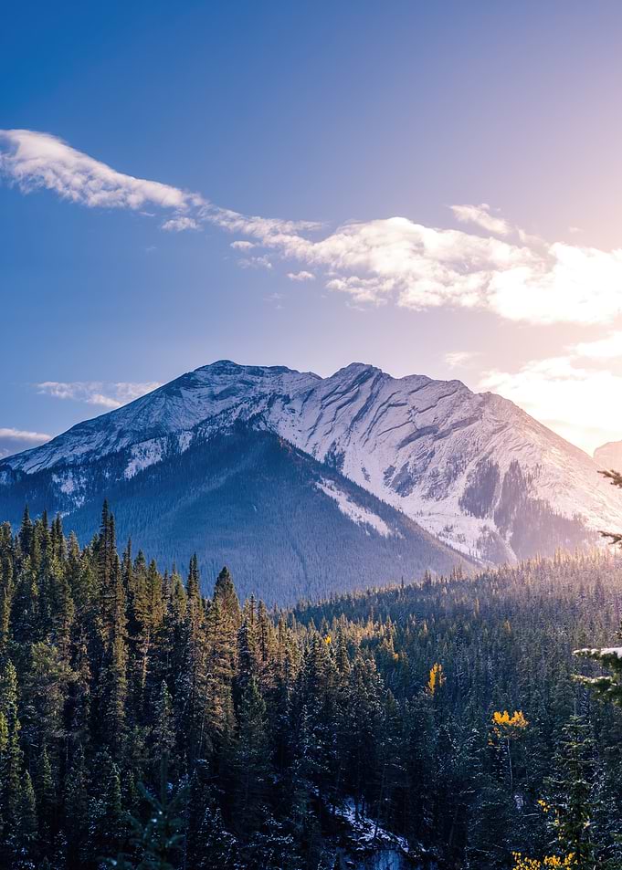 Snowy Mountain Peak with Forest
