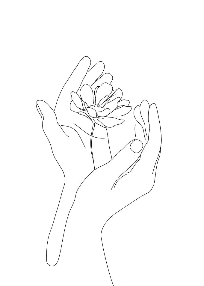 Hands Holding Flower Minimalist Line Art