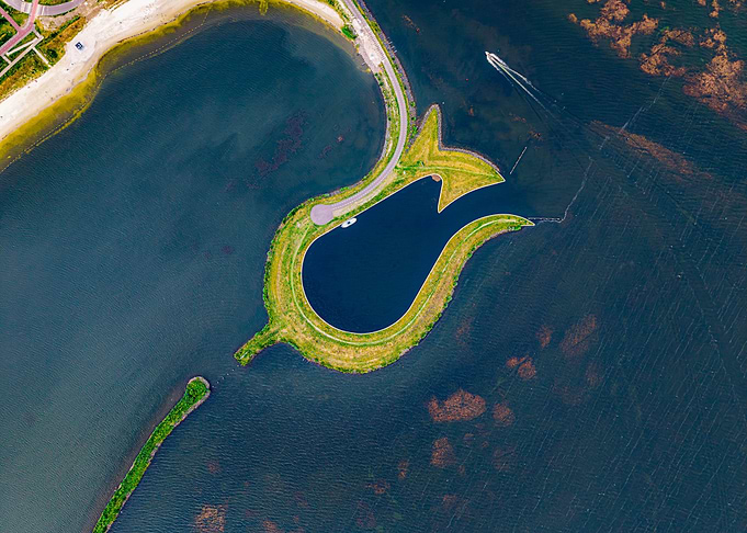 Tulip Island