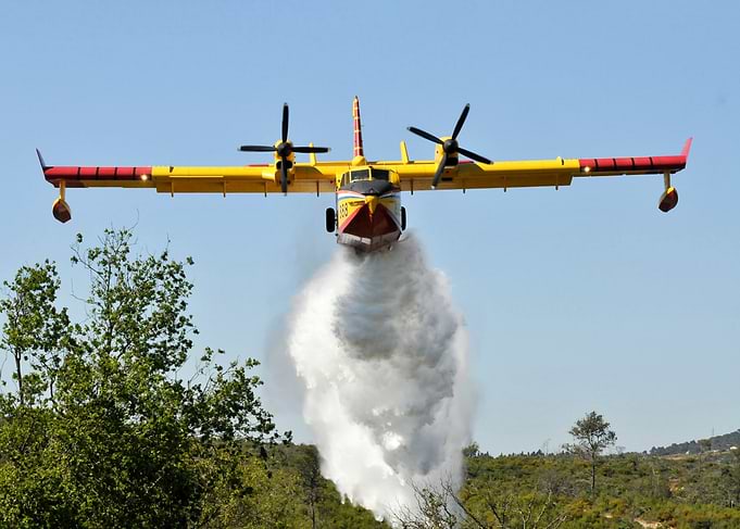 Firefighting plane dropping water over trees