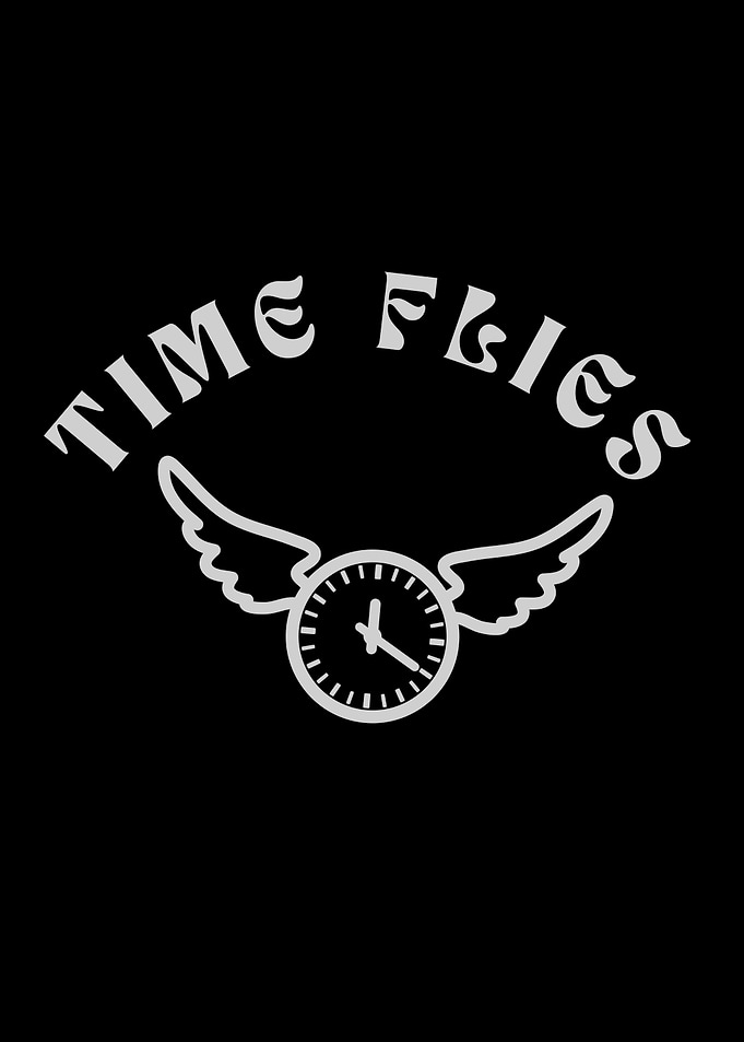 Time Flies Graphic