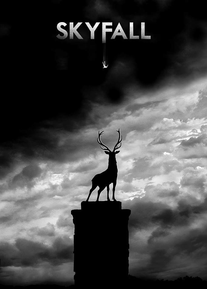 Skyfall Movie Poster Black and White