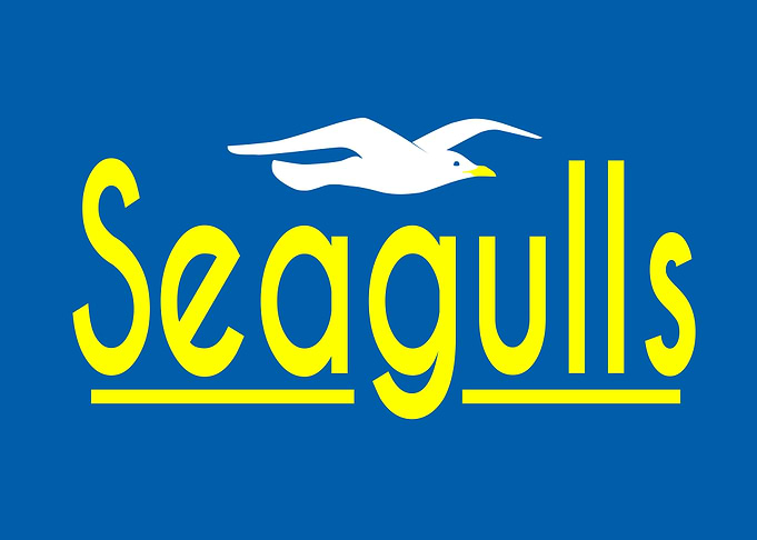 Seagulls Logo with Bird Icon
