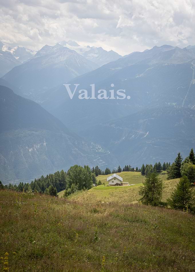 Wallis Serenity