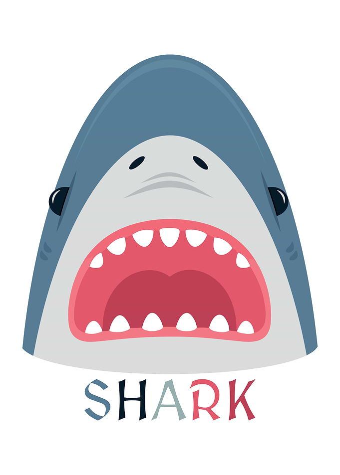 Cartoon Shark with Open Mouth