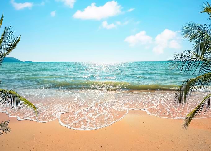 Tropical beach paradise with palm trees
