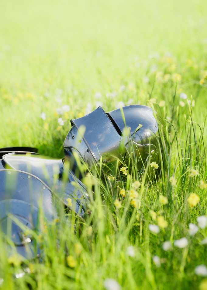 Knight in a Meadow